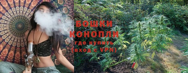 прущая мука Горняк